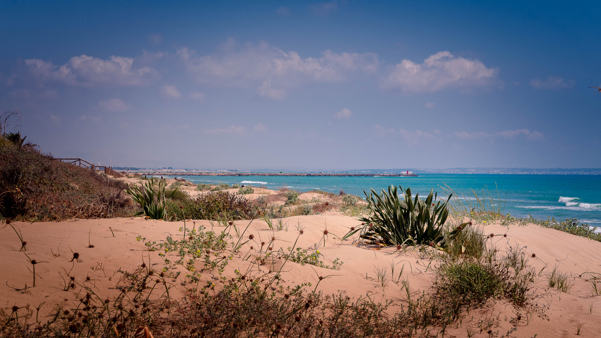 Playas de Guardamar del Segura